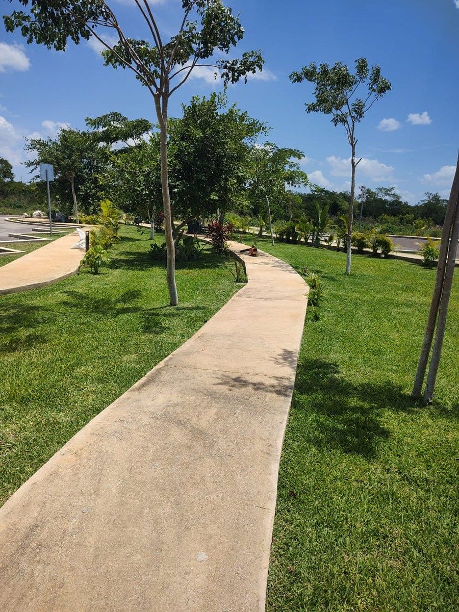 Lot in Sitpach, Mérida, photo 13 of 13