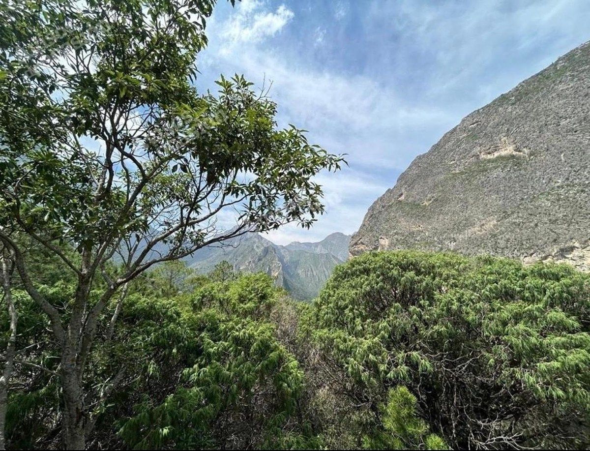 Terreno en La Huasteca 1er Sect, Santa Catarina, foto 4 de 5