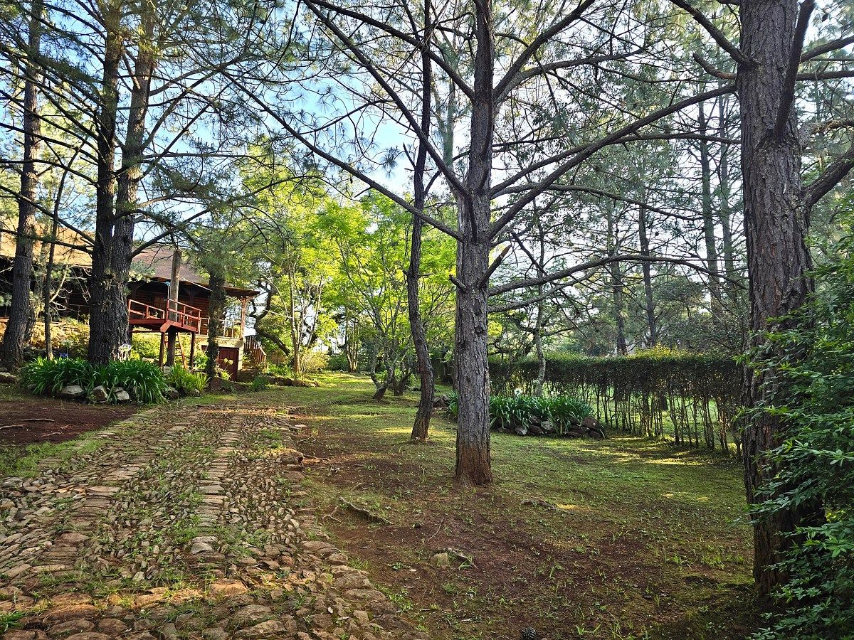 Casa em condomínio fechado em Los Espinos, Tapalpa, foto 17 de 50