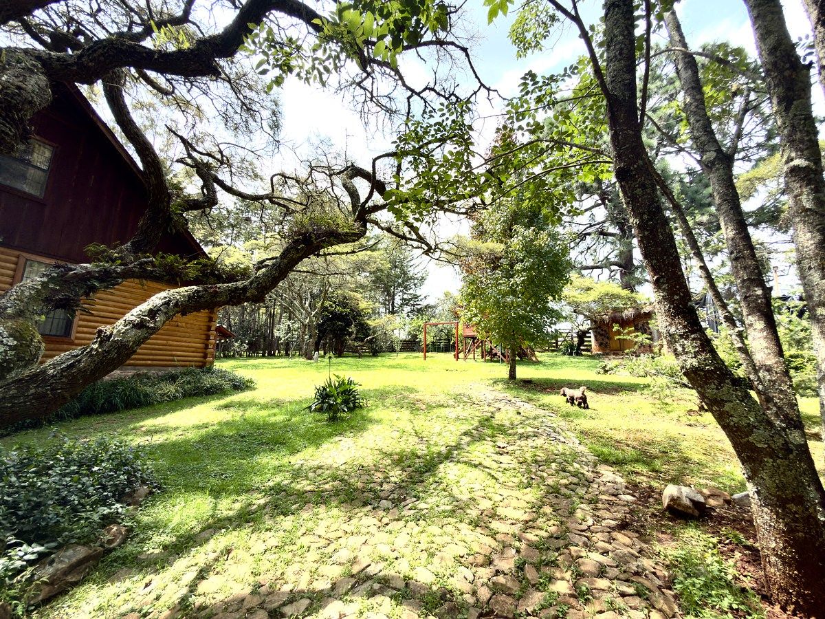 House in Gated Community in Los Espinos, Tapalpa, photo 5 of 31