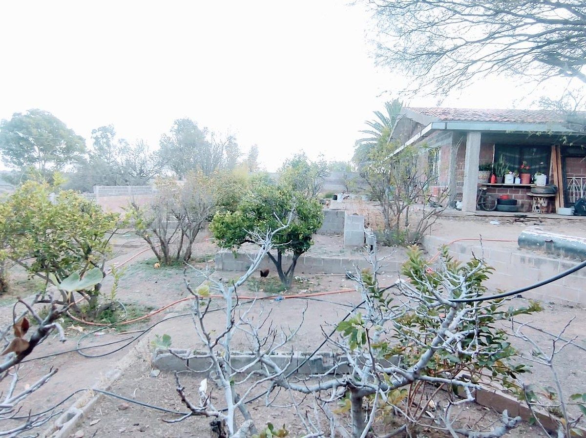 Terreno en Villa Licenciado Jesús Terán (Calvillito), Aguascalientes, foto 13 de 17
