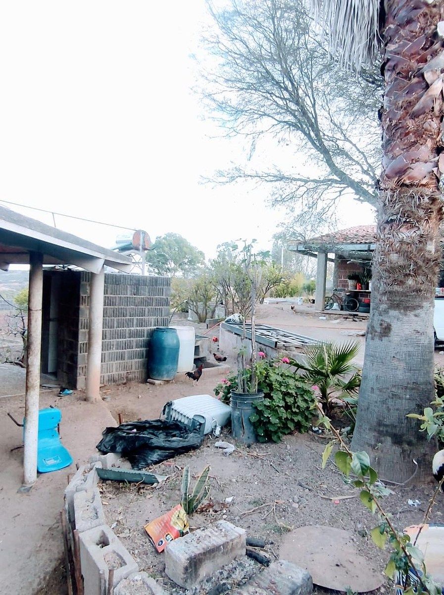 Terreno en Villa Licenciado Jesús Terán (Calvillito), Aguascalientes, foto 14 de 17