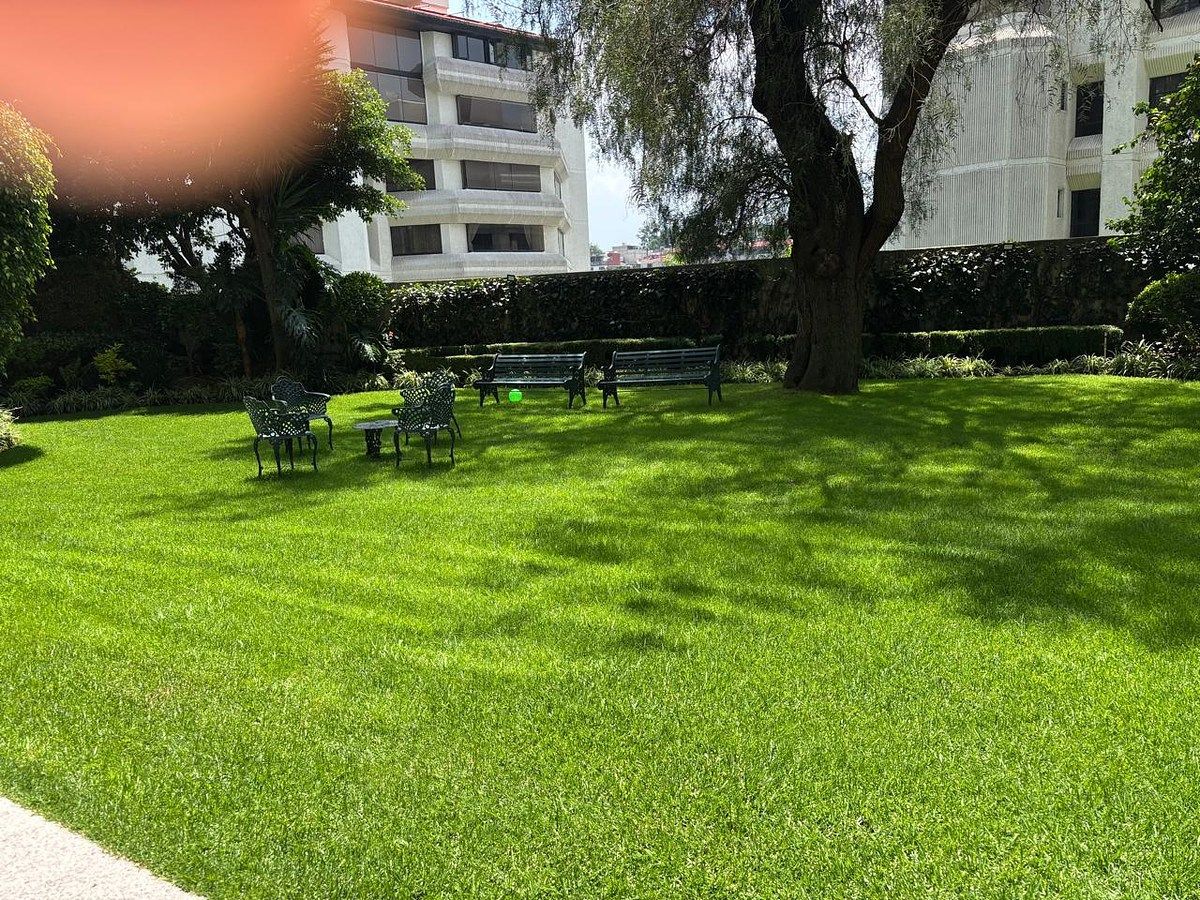 Departamento en Lomas de Chapultepec I Sección, Miguel Hidalgo, foto 2 de 22