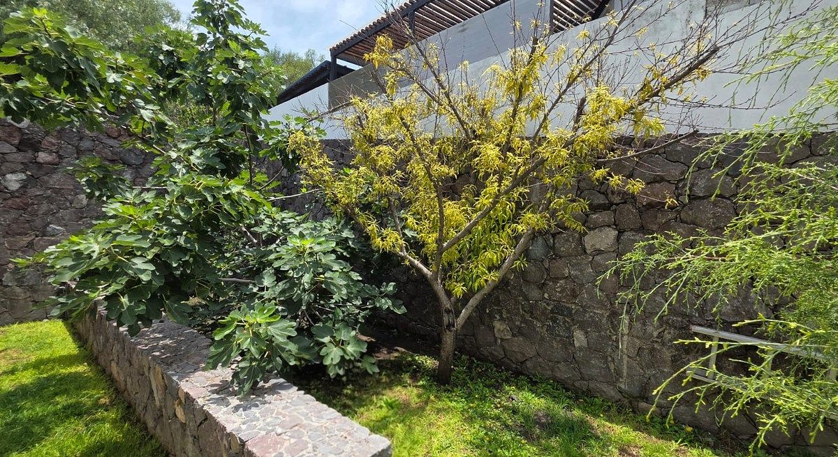 Casa em condomínio fechado em Vista Real y Country Club, Corregidora, foto 23 de 27