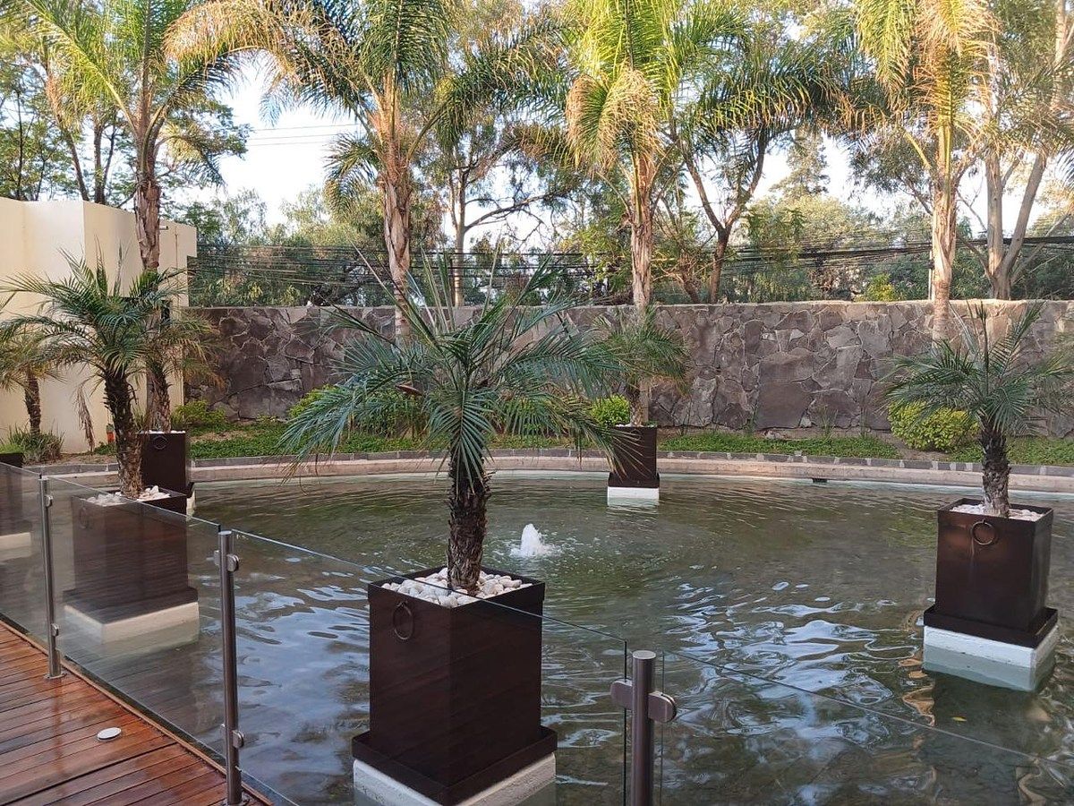 Apartamento em Los Calicantos, Aguascalientes, foto 14 de 24