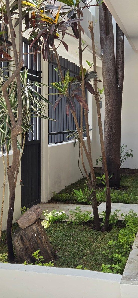 House in 7 Regiones, Oaxaca de Juárez, photo 19 of 27