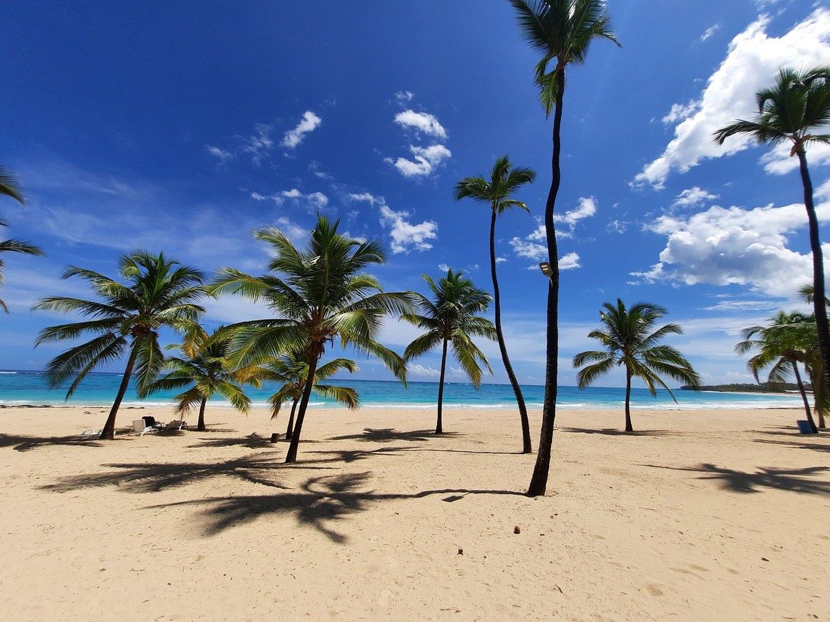 Apartamento en white sand, Punta Cana, foto 27 de 30