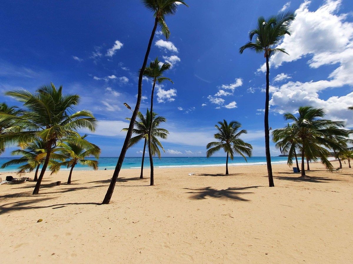 Apartamento en white sand, Punta Cana, foto 29 de 30