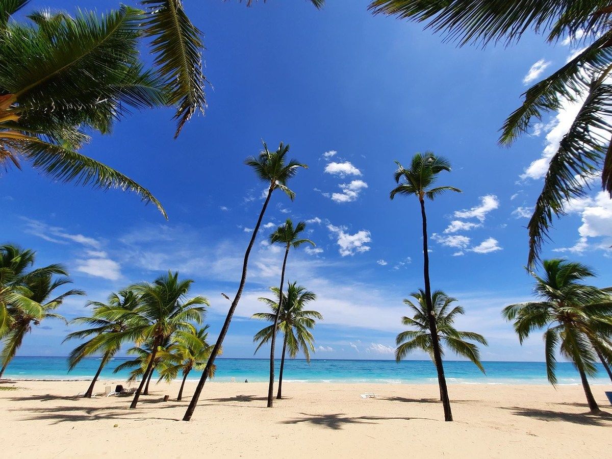 Apartamento en white sand, Punta Cana, foto 30 de 30