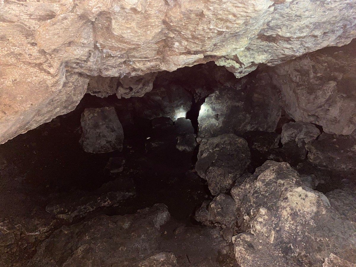 🌿 Terreno en venta con cenote, energía eléctrica y gran potencial de inversión, foto 1 de 5