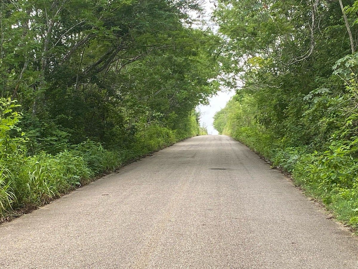 Terreno en Calotmul, Calotmul, foto 3 de 5