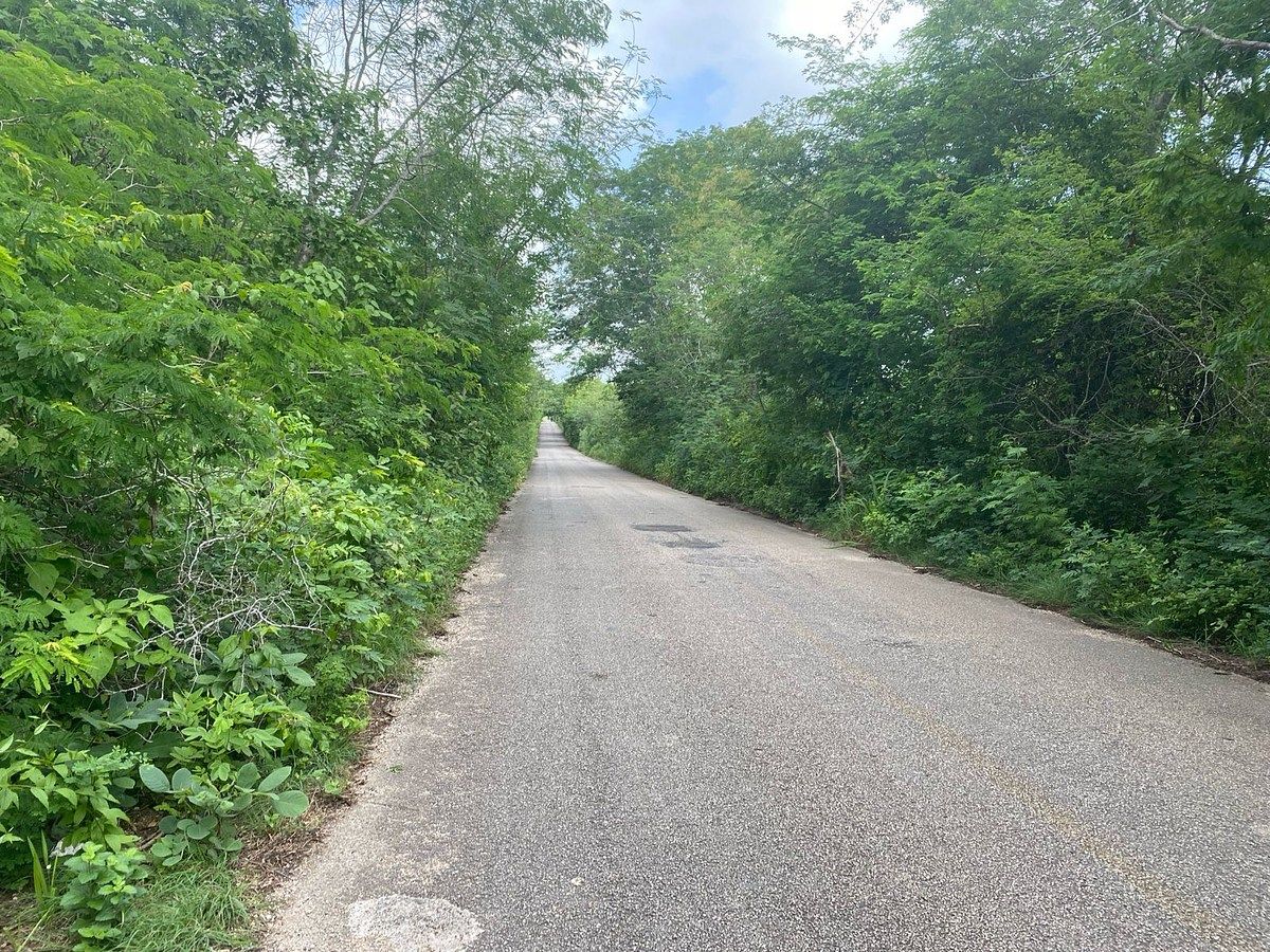 Terreno en Calotmul, Calotmul, foto 4 de 5