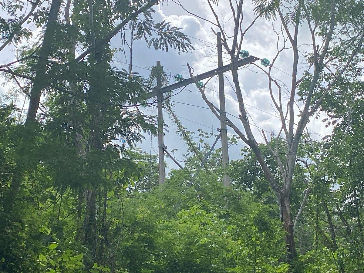 Terreno en Calotmul, Calotmul, foto 5 de 5
