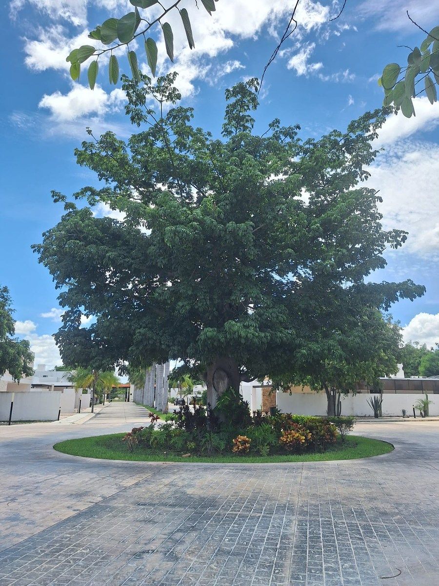 Casa em Tamanché, Mérida, foto 45 de 47
