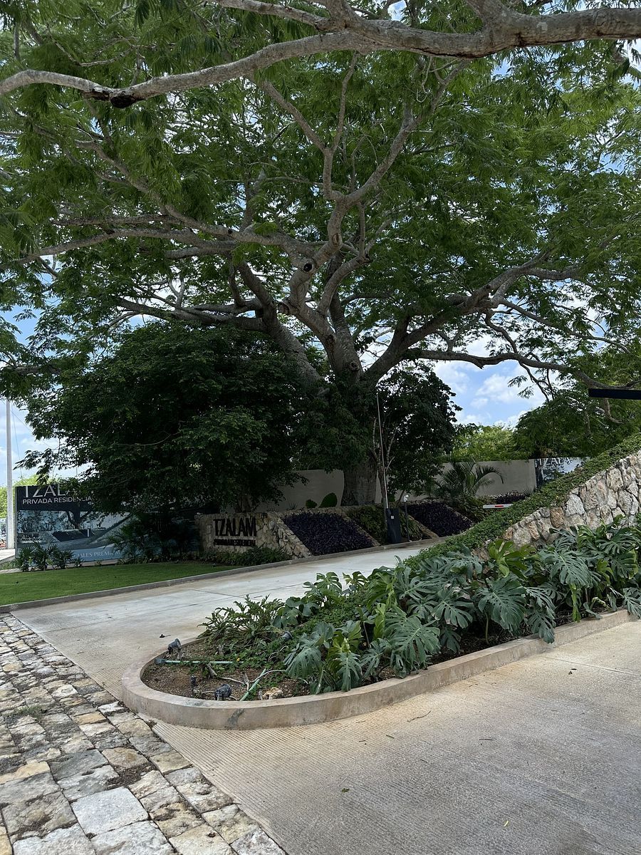 Lote em Komchen, Mérida, foto 8 de 14