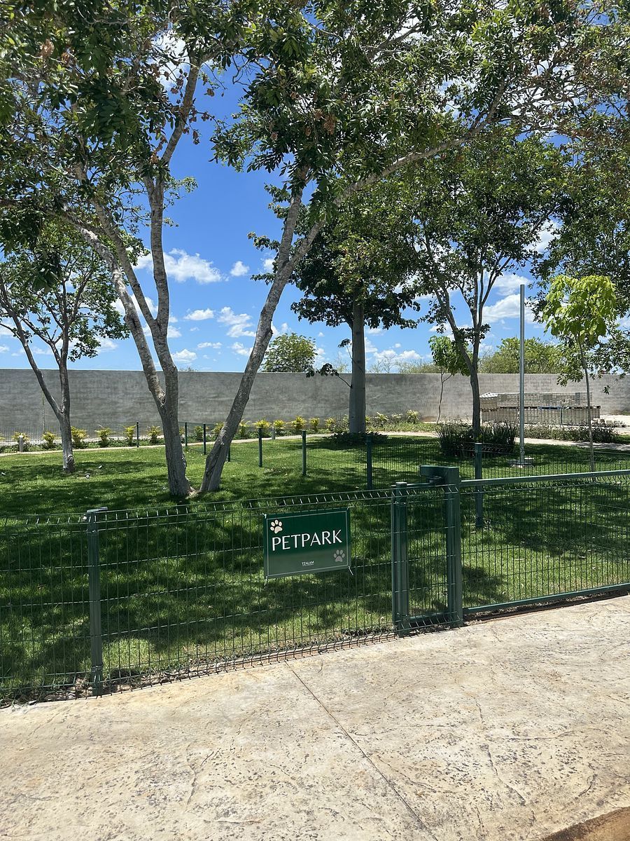 Lote em Komchen, Mérida, foto 9 de 14