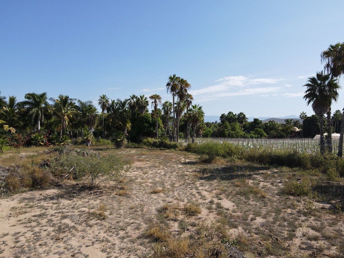 Lote em Todos Santos, La Paz, foto 2 de 5
