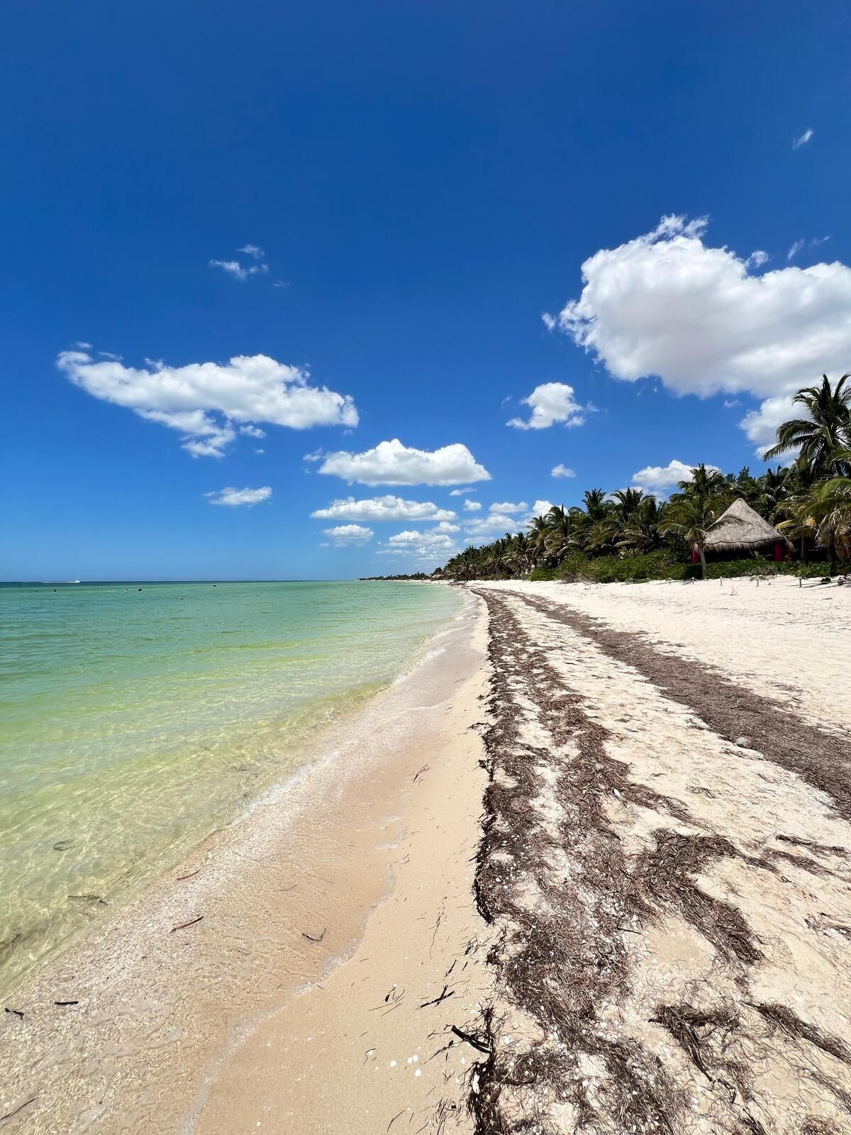 Terreno en venta en Chicxulub Puerto, Yucatán, cerca de la playa, foto 1 de 12