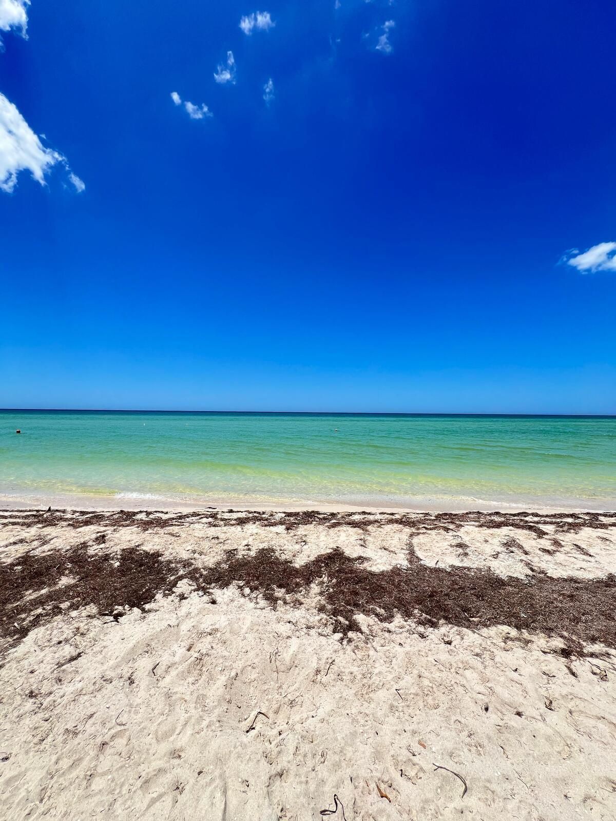 Lote em Chicxulub Puerto, Progreso, foto 12 de 12