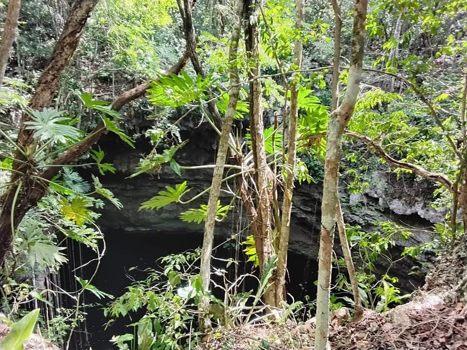 Lote em Xtut, Temozón, foto 3 de 12