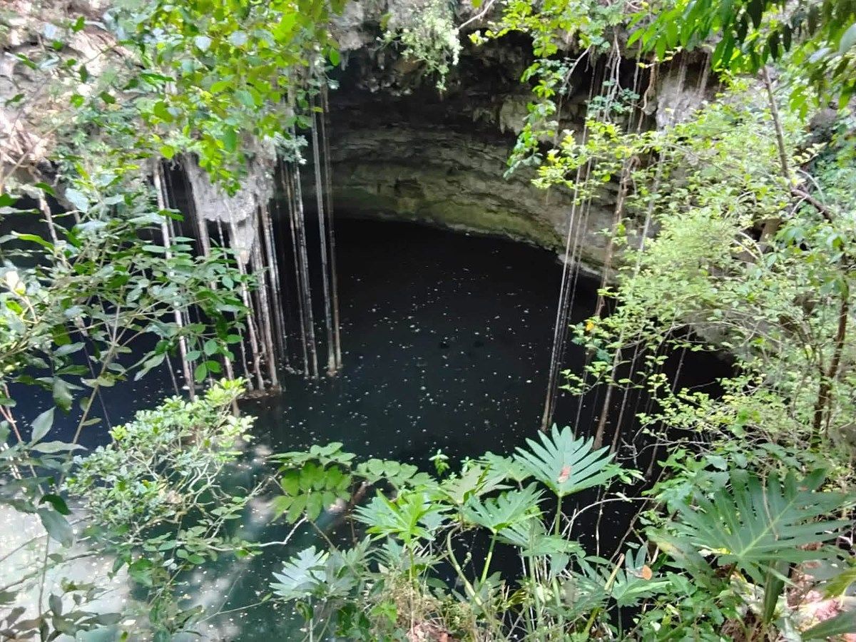 🌿 EN VENTA | Terreno con cenote sobre la Ruta Turística de Yalcobá, foto 1 de 12