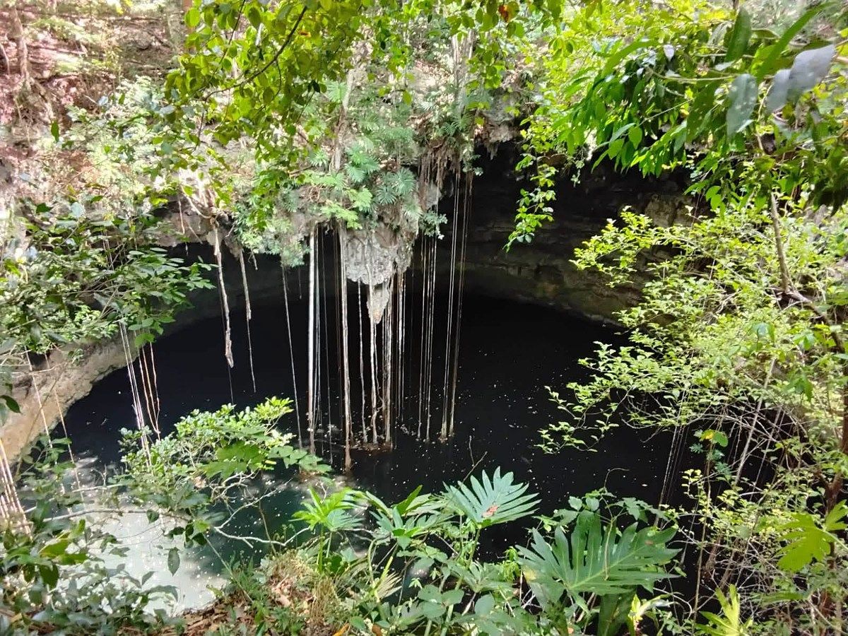 Lote em Xtut, Temozón, foto 2 de 12