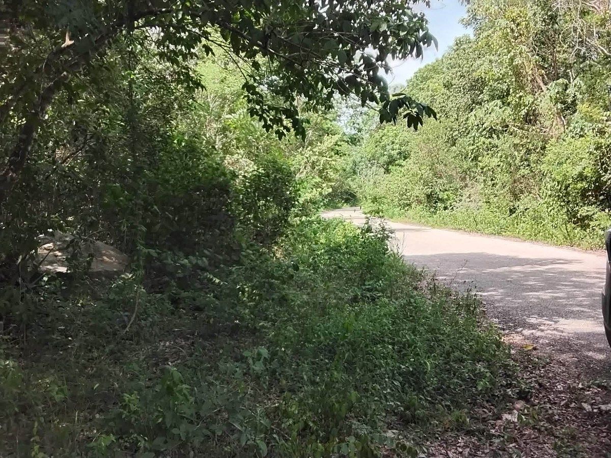 Lote em Xtut, Temozón, foto 5 de 12