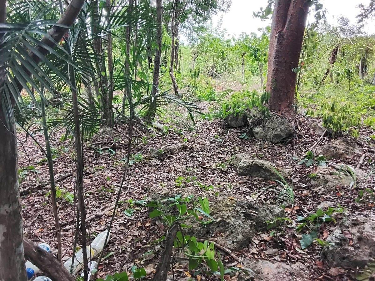 Lote em Xtut, Temozón, foto 6 de 12