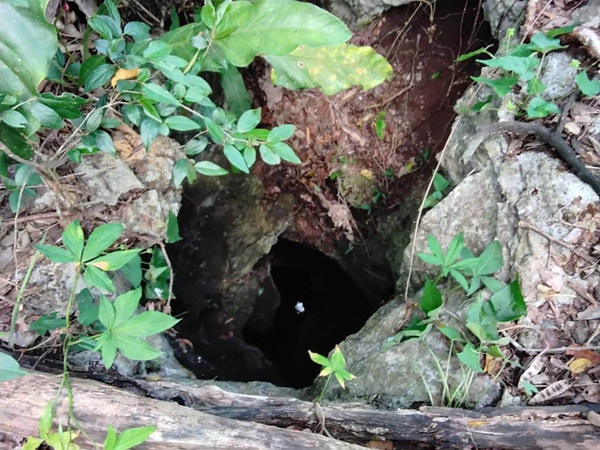 Lote em Xtut, Temozón, foto 7 de 12