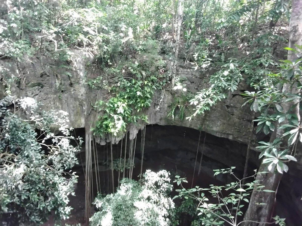 Lote em Xtut, Temozón, foto 8 de 12