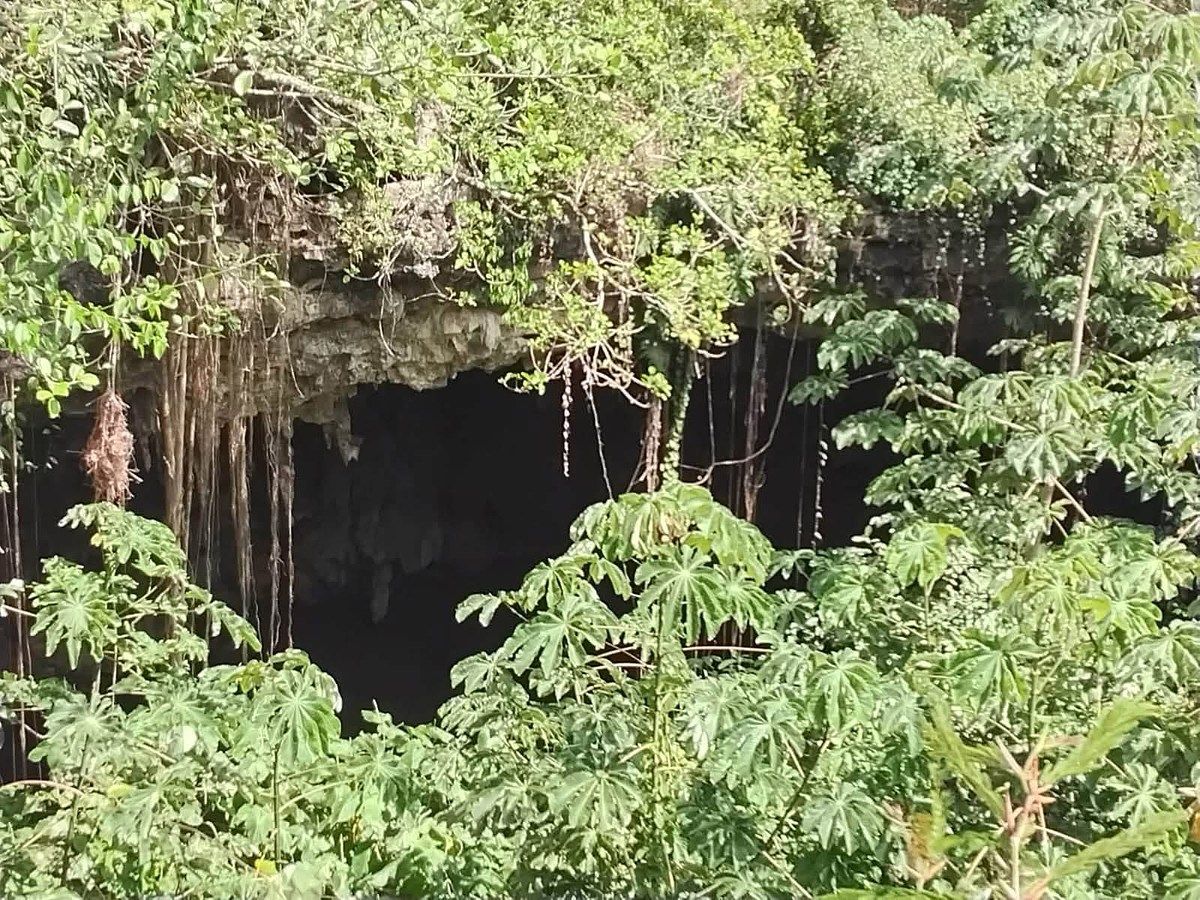 Lote em Xtut, Temozón, foto 9 de 12