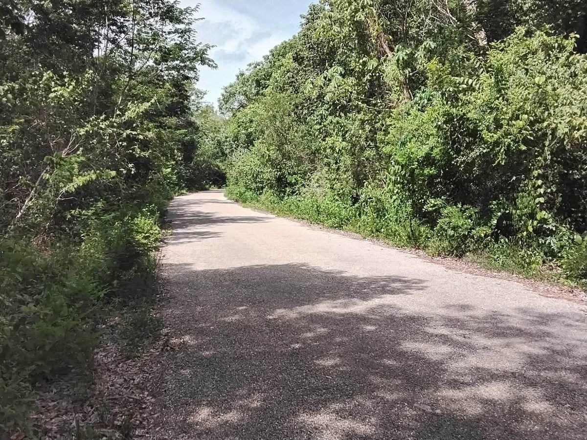 Lote em Xtut, Temozón, foto 10 de 12