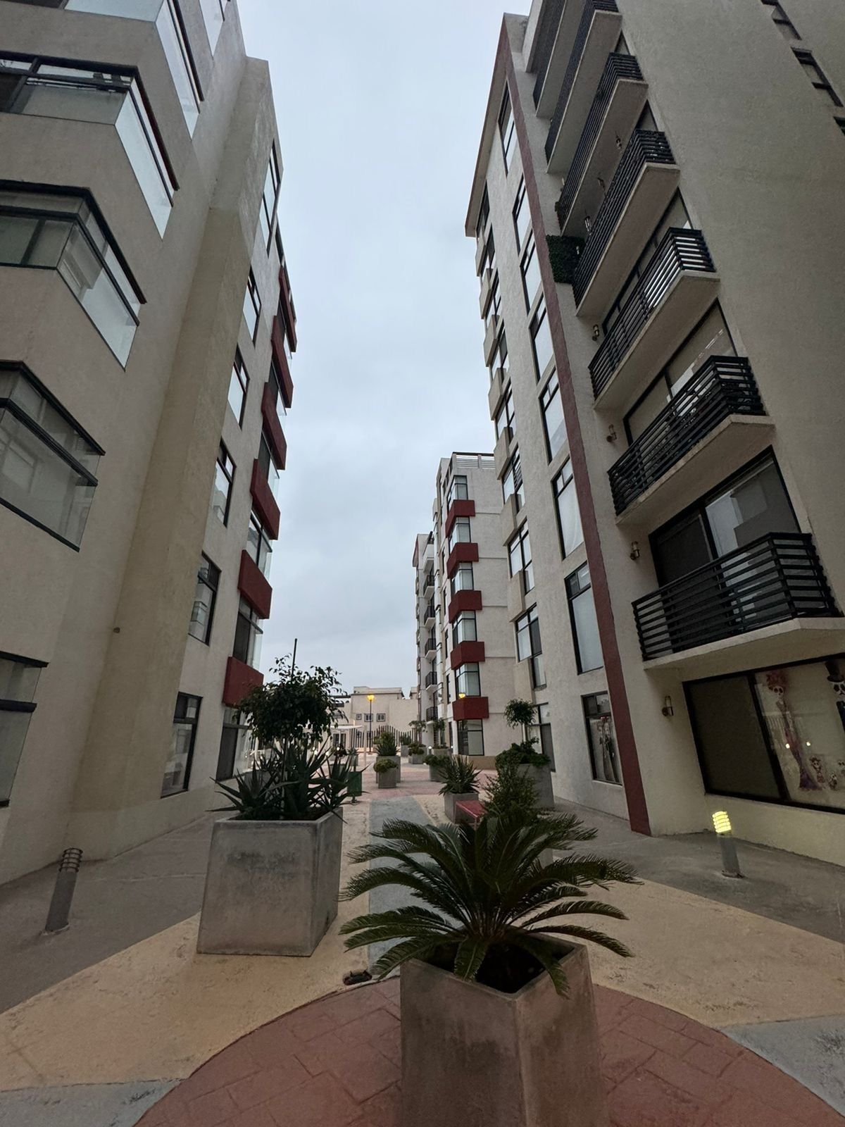 Apartamento em Colinas de Chapultepec, Tijuana, foto 19 de 32