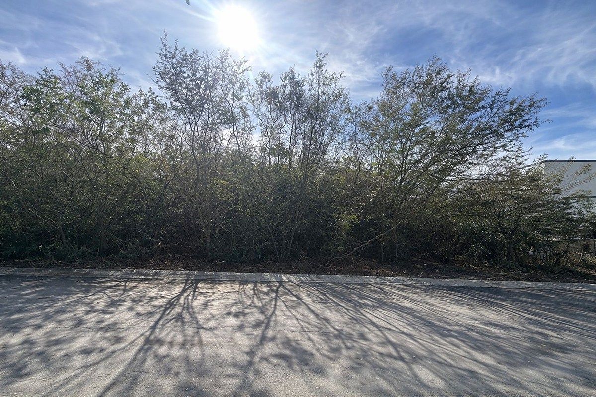 Lot in Las Misiones, Santiago, photo 4 of 6