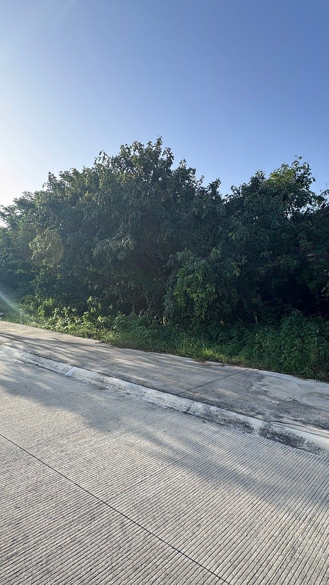 Lot in Komchen, Mérida, photo 11 of 13