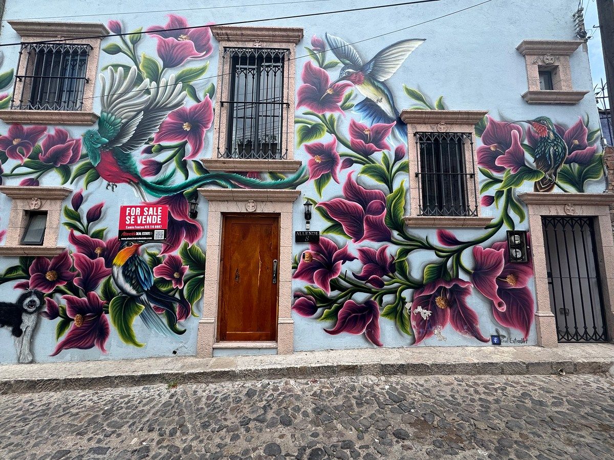Casa em Caracol, San Miguel de Allende, foto 3 de 50