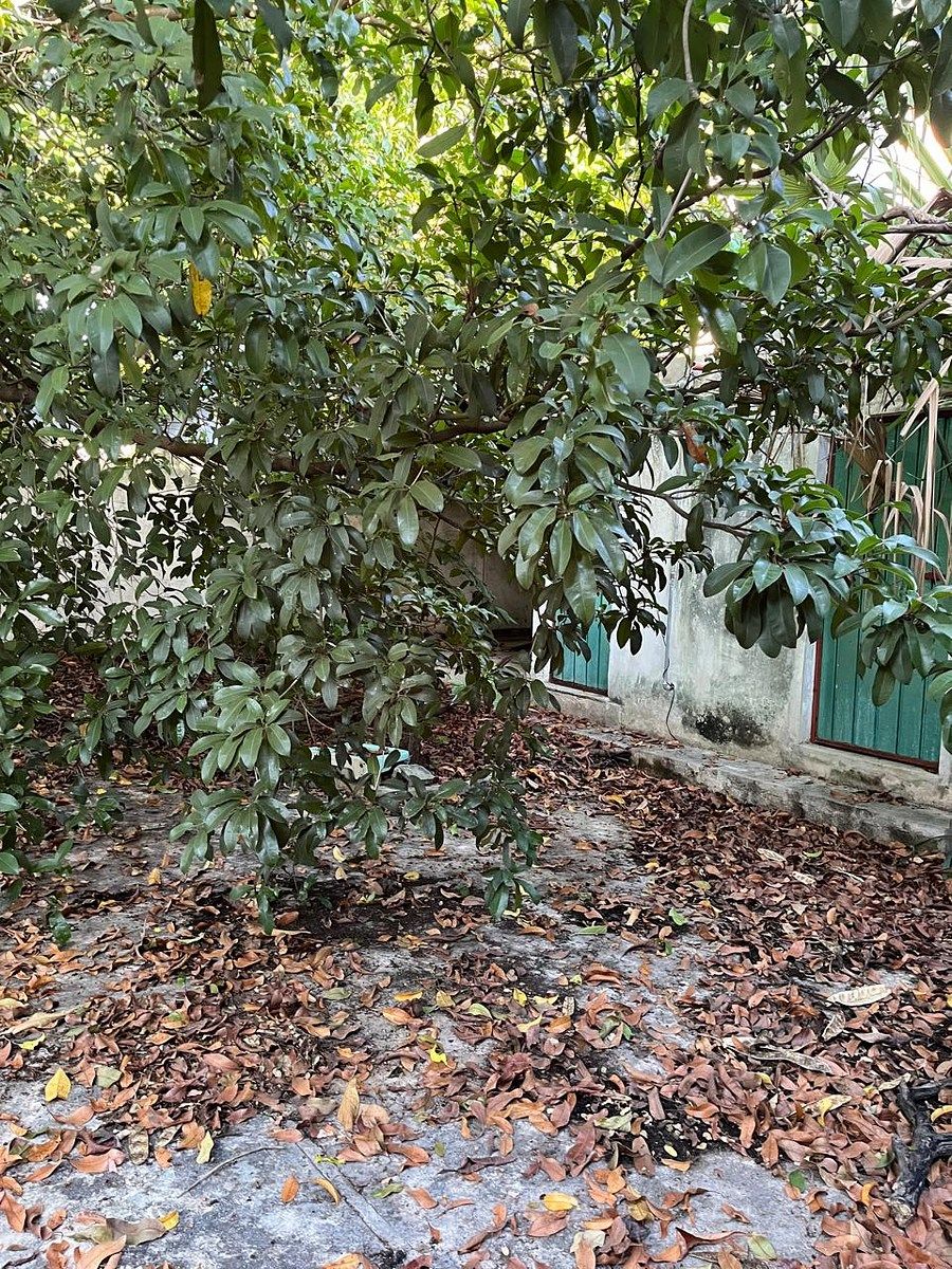 Casa em Esperanza, Mérida, foto 23 de 32