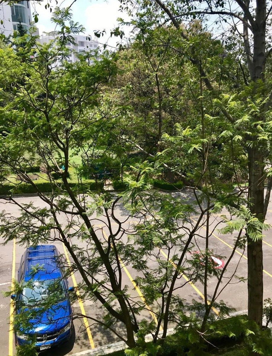 Apartamento em Cuajimalpa, Cuajimalpa de Morelos, foto 25 de 28