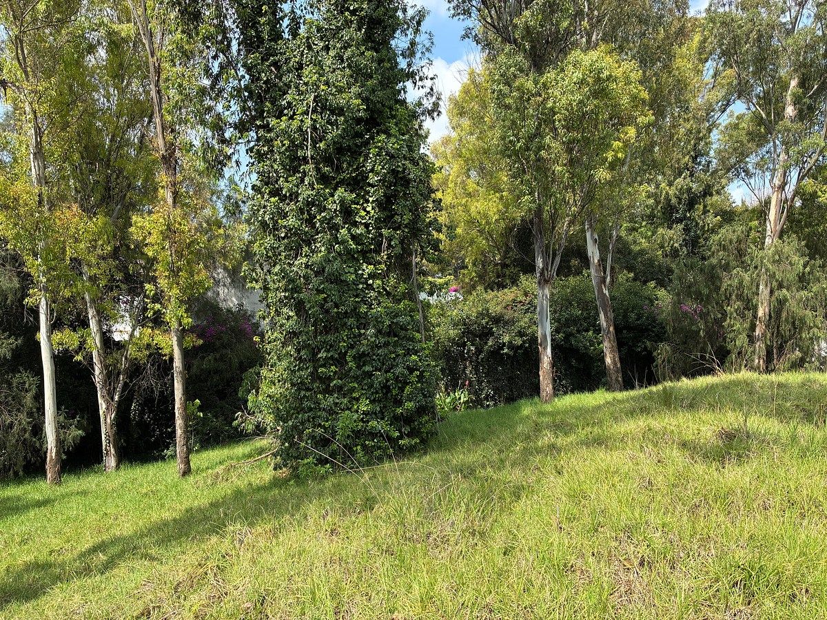 Casa em Bosques la Calera, Puebla, foto 26 de 31