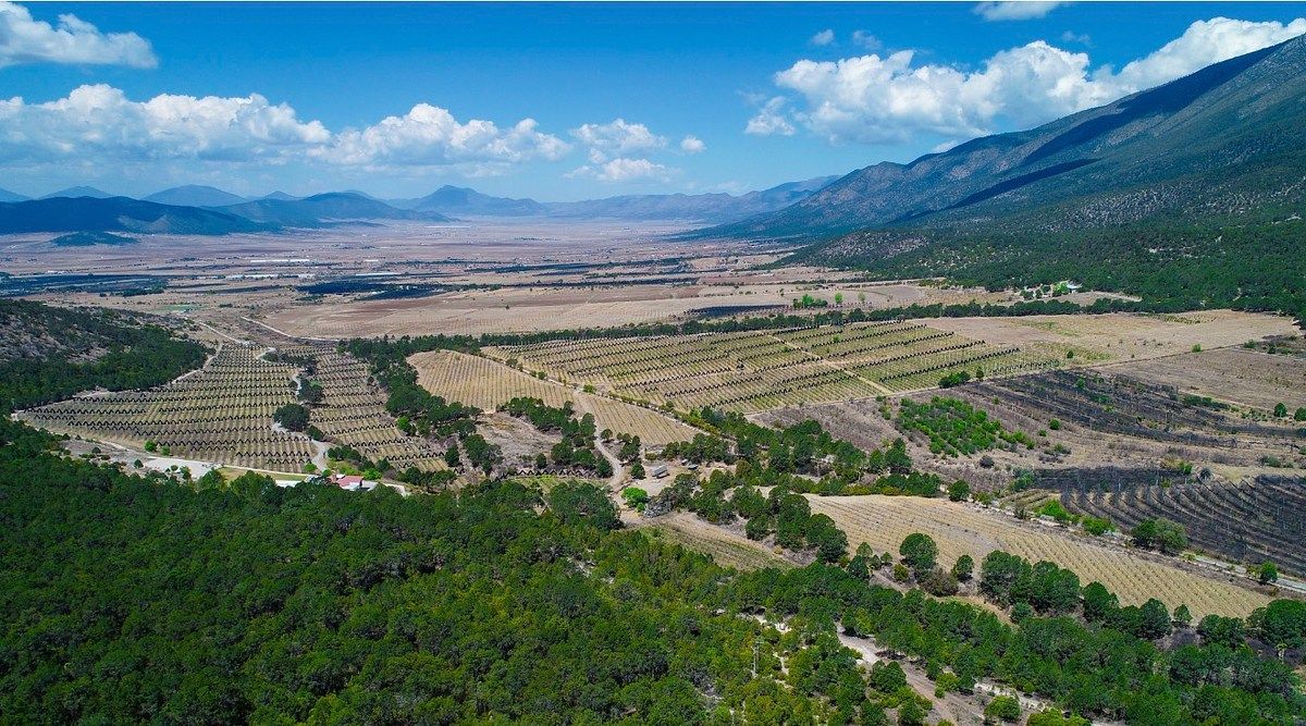 Rancho en San Antonio de las Alazanas, Arteaga, foto 5 de 16