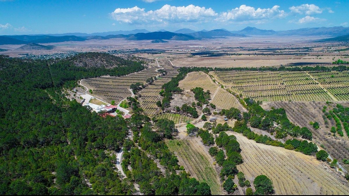Rancho en San Antonio de las Alazanas, Arteaga, foto 6 de 16