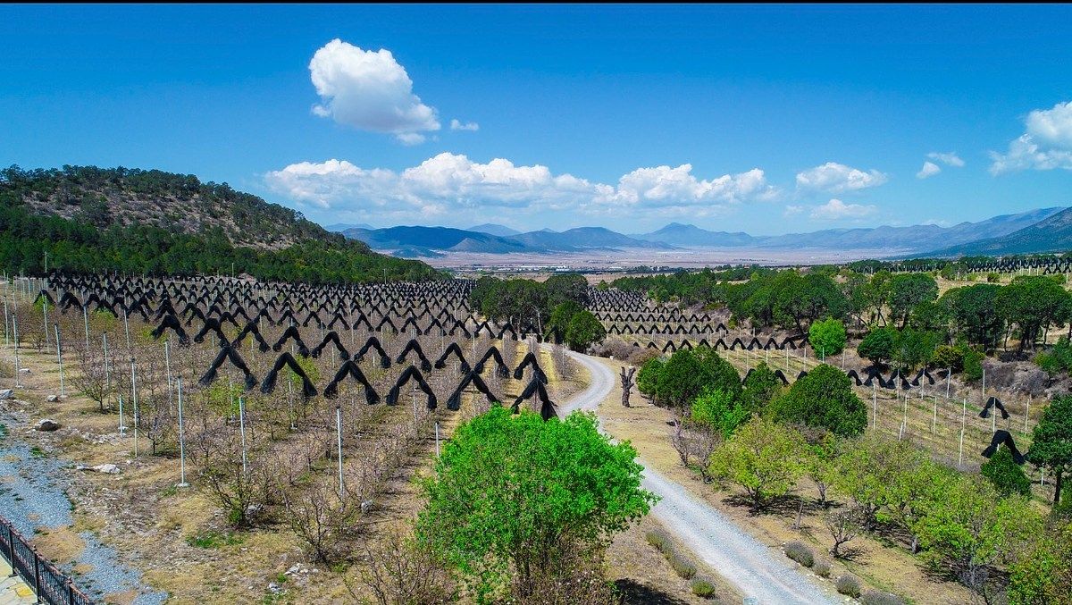 Rancho en San Antonio de las Alazanas, Arteaga, foto 7 de 16