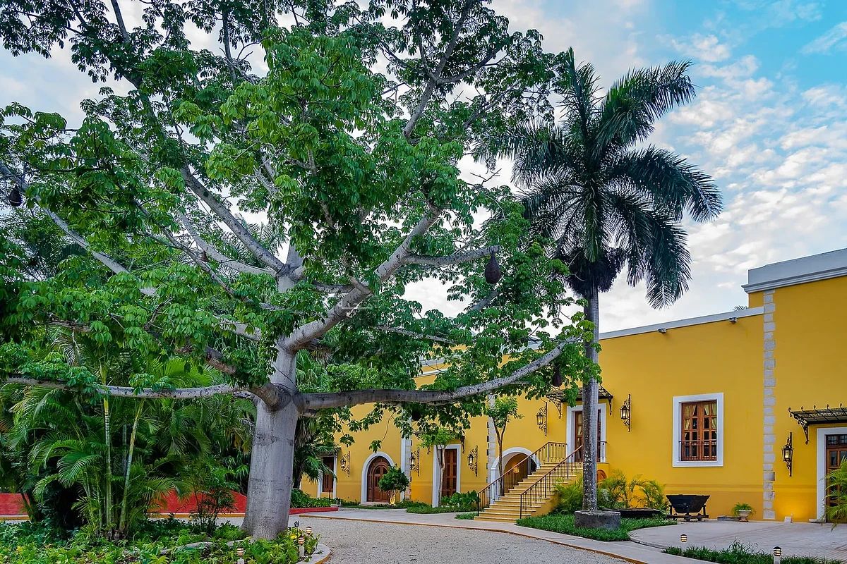 Apartment in Xcanatún, Mérida, photo 15 of 23
