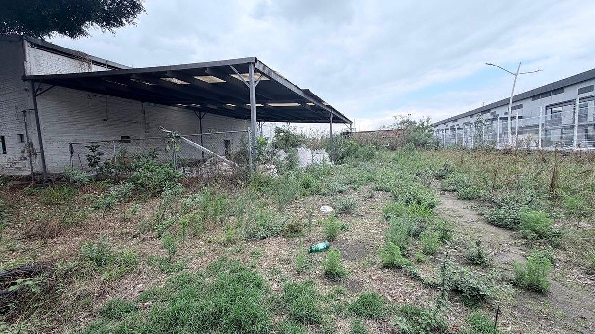 Lot in La Venta Del Astillero, Zapopan, photo 10 of 25