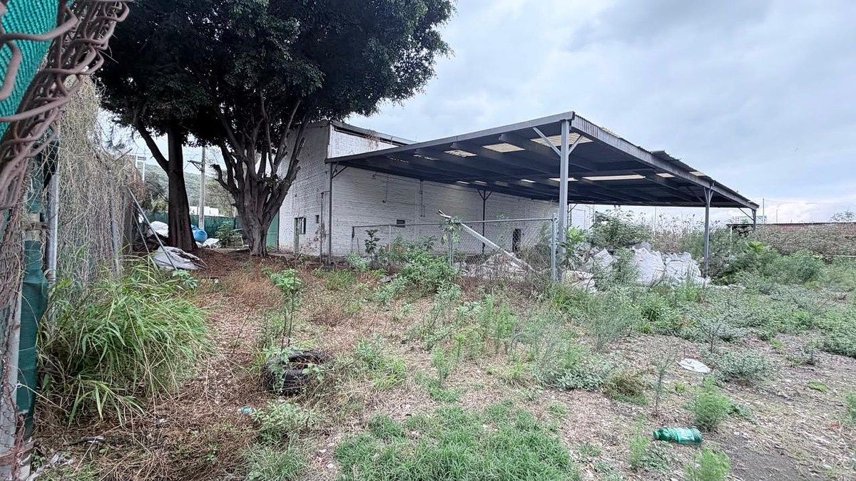 Lot in La Venta Del Astillero, Zapopan, photo 14 of 25