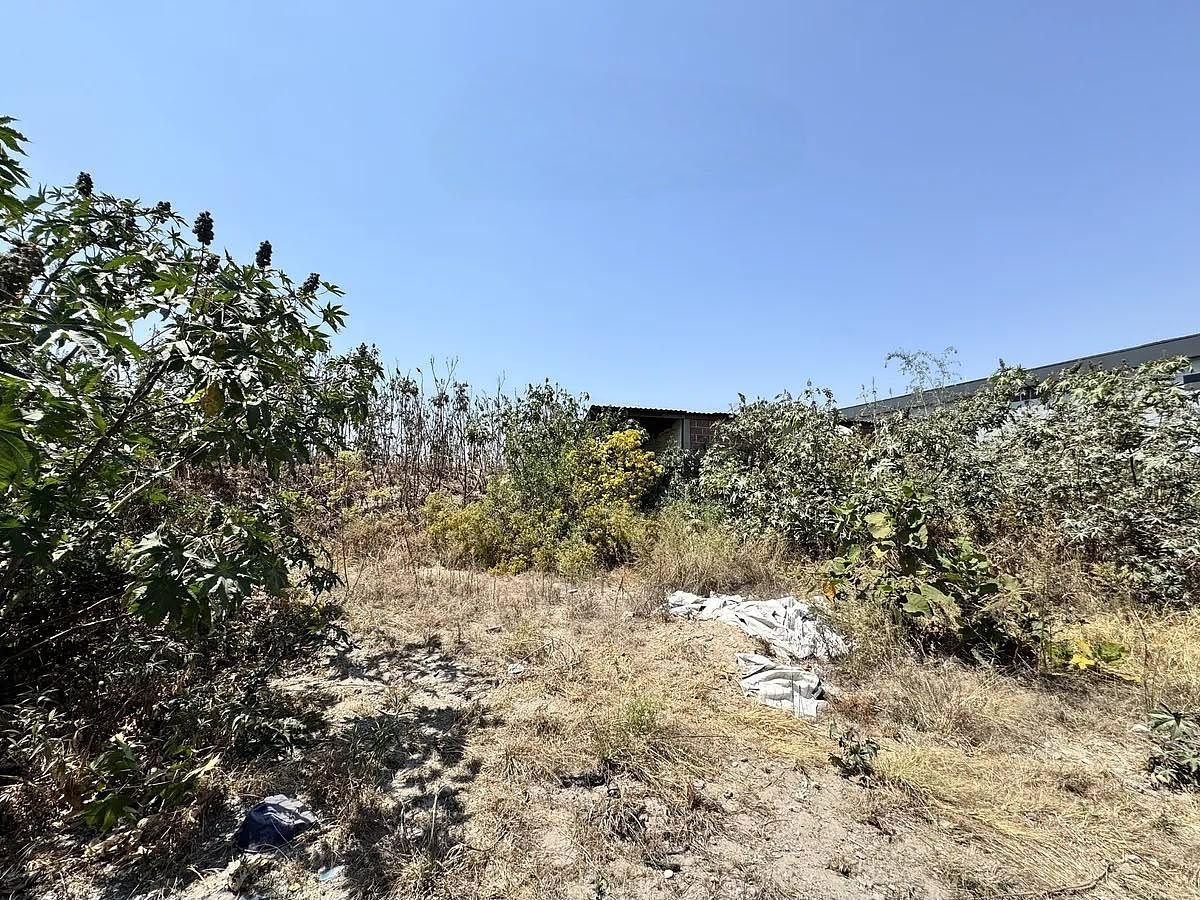 Lot in La Venta Del Astillero, Zapopan, photo 21 of 25
