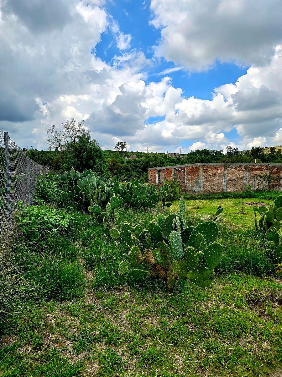 Terreno en Yerbabuena, Guanajuato, foto 18 de 19