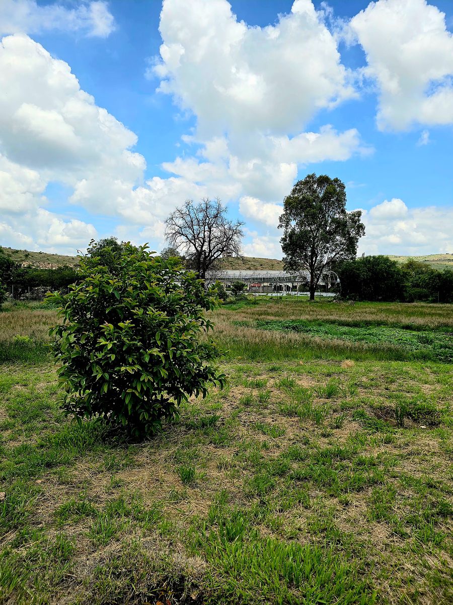 Terreno en Yerbabuena, Guanajuato, foto 19 de 19