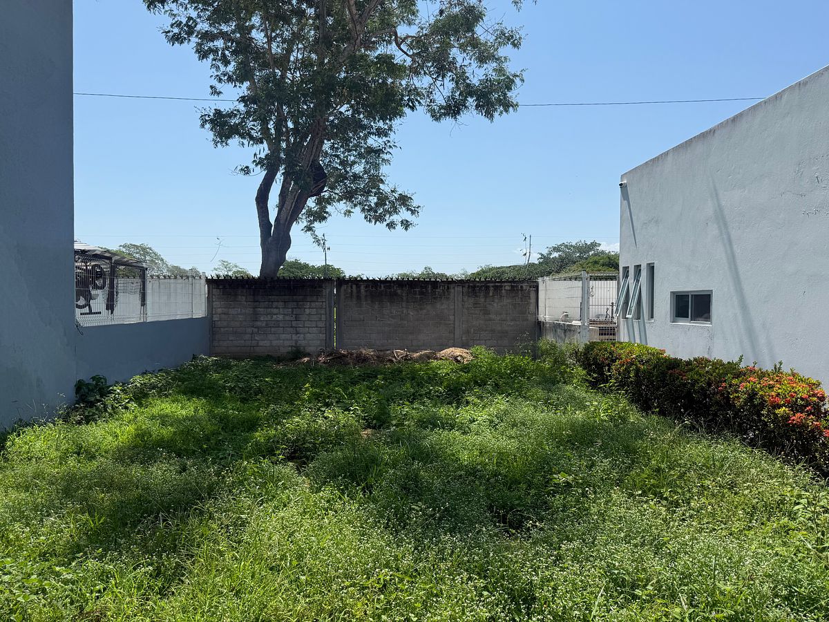 Lot in Mezcales, Bahía de Banderas, photo 7 of 15