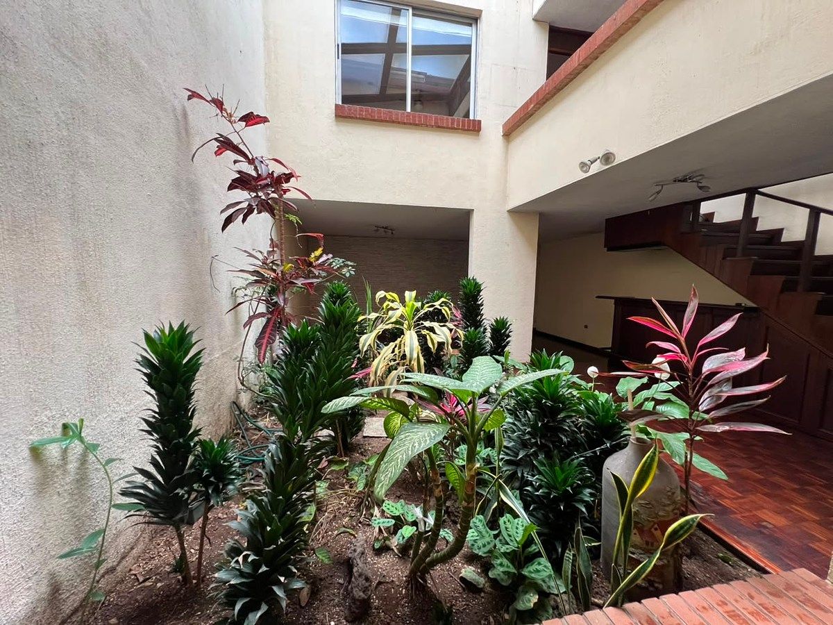 Casa en Zona 10, Guatemala, foto 13 de 20